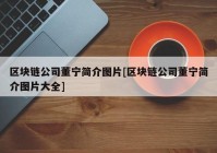 区块链公司董宁简介图片[区块链公司董宁简介图片大全]