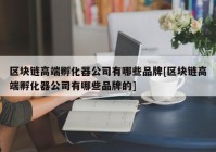 区块链高端孵化器公司有哪些品牌[区块链高端孵化器公司有哪些品牌的]